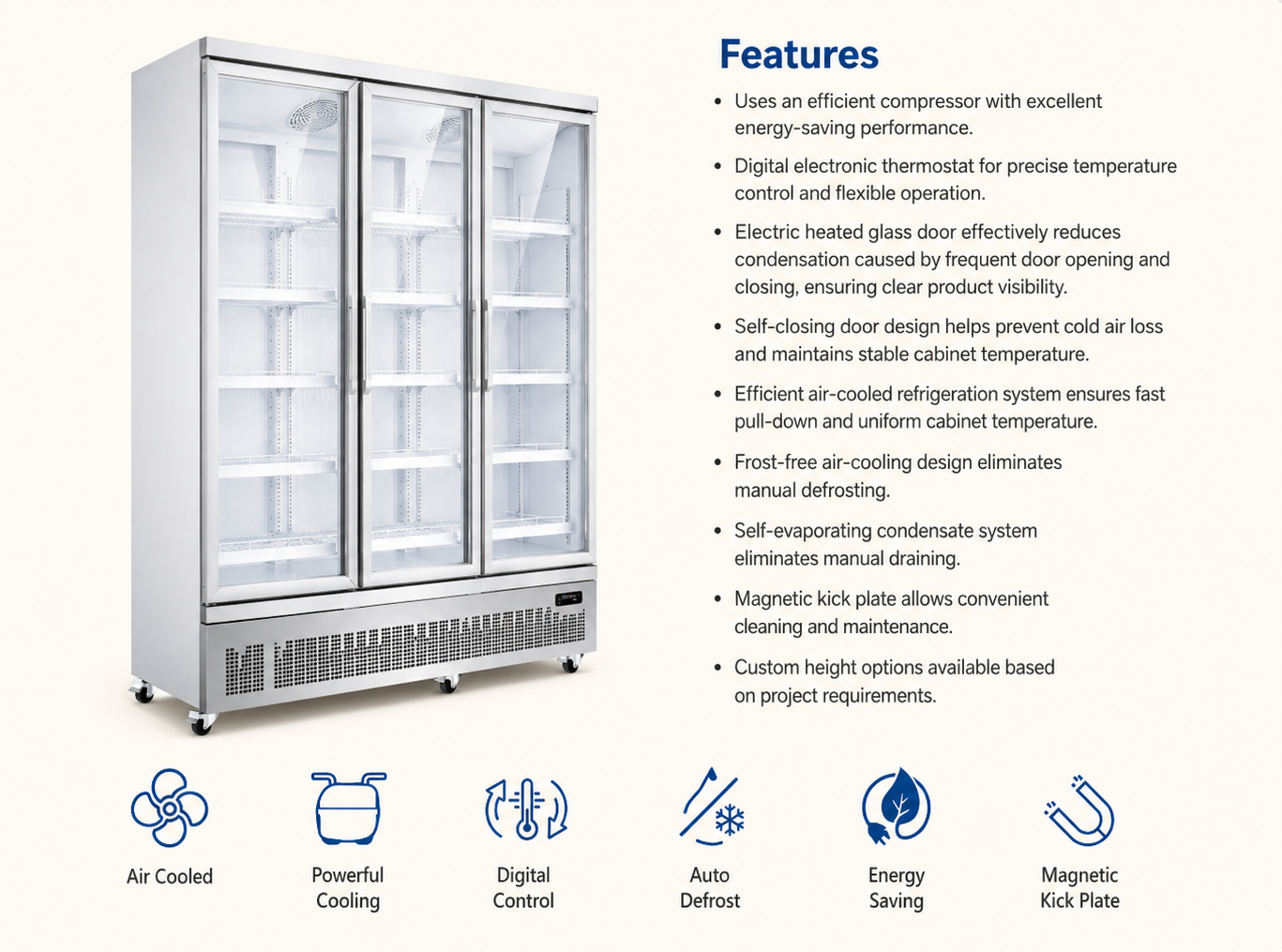 Swing Door Glass Display Freezer